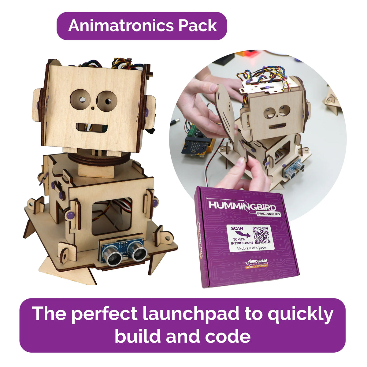 Hummingbird Project Packs - Animatronics single