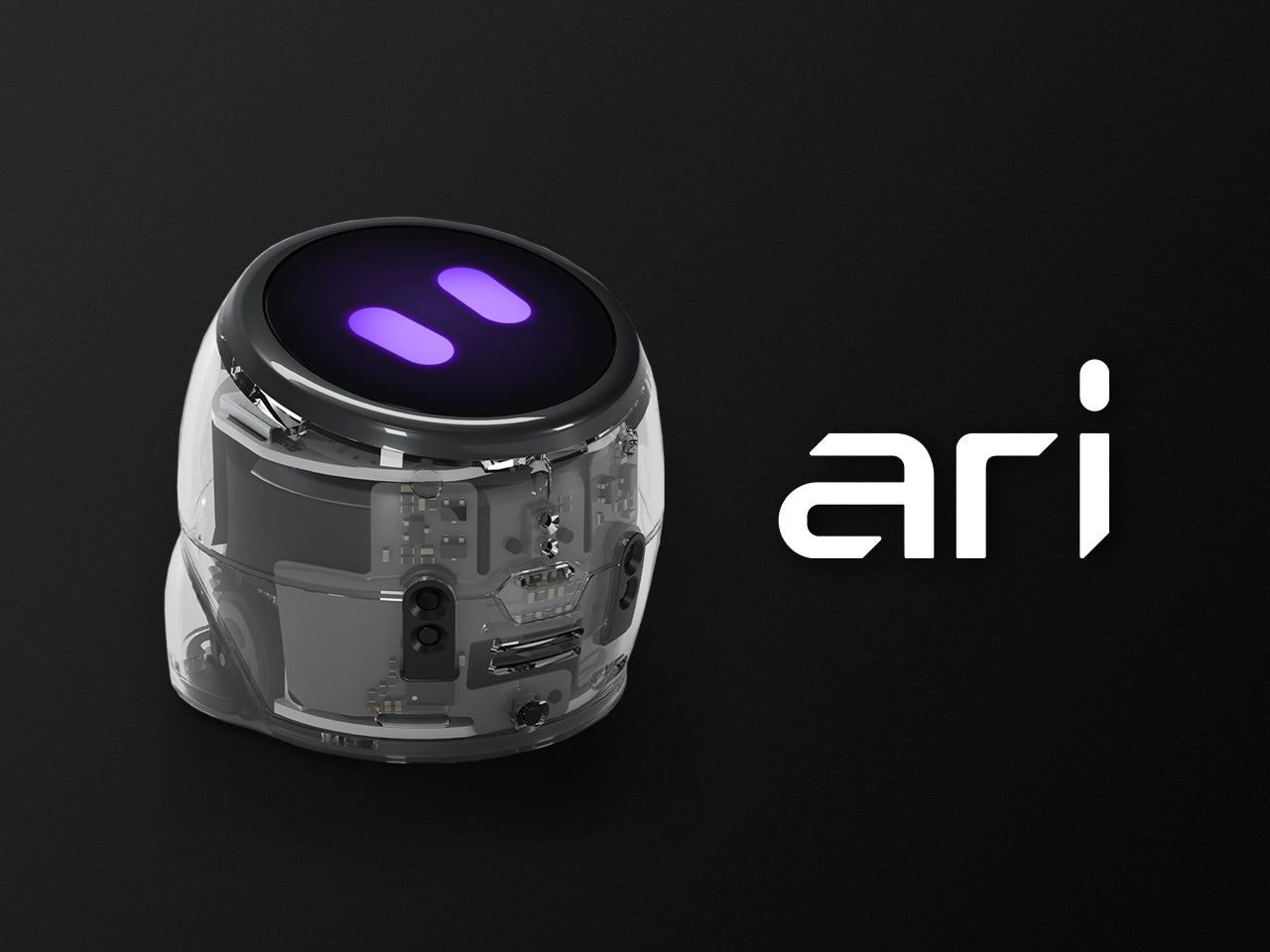 Ari Entry Kit