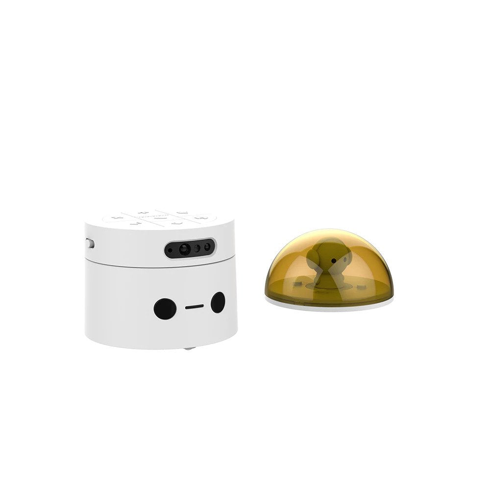 Coding Set Lite