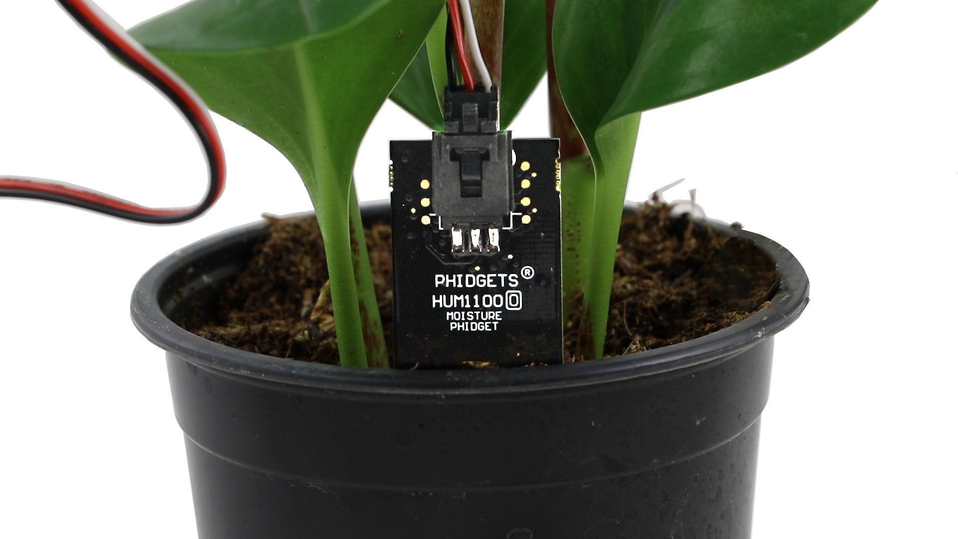 Phidget - Plant Kit