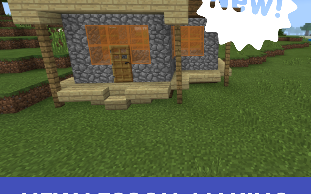 Co-Taught Activity – Making Homes in Minecraft Gr. 5-6