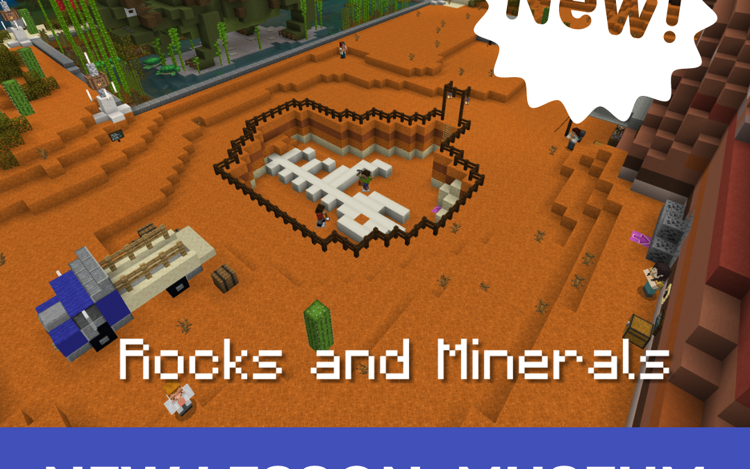 Co-Taught Activity – Museum Math in Minecraft Gr. 3-4